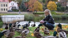 A Blonde Girl Feeds Ducks In An Autumn Park.A Child In A Sweater, Jacket And Gloves On A Walk In Good Weather.The Concept Of The Weekend.A Girl Throws Bread To Birds In Nature.Day Off In The City Park