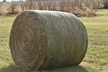 Poster - Hay Bale