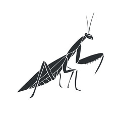 Canvas Print - Vector hand drawn doodle sketch black mantis isolated on white background