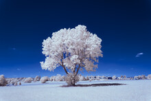 Infrared Photography - Ir Photo Of Landscape Under Sky With Clouds - The Art Of Our World In The Infrared Spectrum
