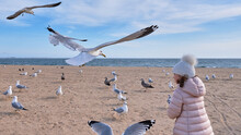 Pretty Young Girl Feeding Seagulls In Flight
