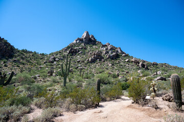 Wall Mural - A panoramic view from the Pinnacle Peak Park trail