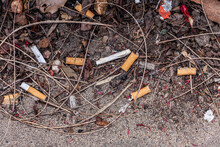 Cigarette Butts And Litter With Dirt On Side Of Street