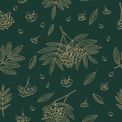 Wall Mural - rowan berries, bunches and leaves seamless pattern hand drawn in doodle style.