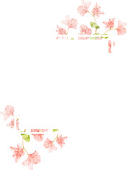 Wall Mural - watercolor pink Bougainvillea flower bouquet for banner