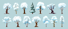Cartoon Winter Trees, Isolated Vector Wintertime Forest And Garden Plants With Snow On Branches. Birch, Spruce, Oak, Maple Or Elm In Park Or Wood, Natural Seasonal Winter Landscape Tree