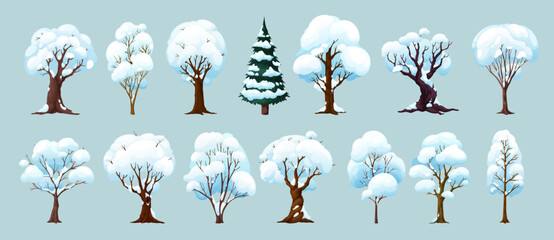 Cartoon winter trees, isolated vector wintertime forest and garden plants with snow on branches. Birch, spruce, oak, maple or elm in park or wood, natural seasonal winter landscape tree