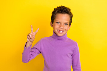 Wall Mural - Photo portrait of cute little boy showing v-sign optimistic beaming smile wear trendy violet garment isolated on yellow color background