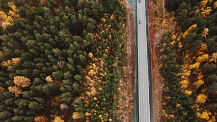 Wall Mural - Road in the autumn mountains. Aerial top down view. Cars are driving on the road. 