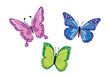 Set of three colorful butterfly