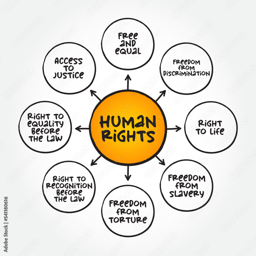 Human Rights are moral principles or norms for certain standards of ...
