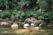 Beautiful Water, Rocks, And Nature Of Mossman Gorge, Queensland, Australia