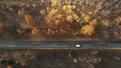 Wall Mural - Road with yellow trees in the autumn mountains at sunset. Aerial top down view. Cars are driving on the asphalt road. 
