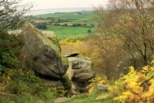 Brimham Rocks, North Yorkshire, England.