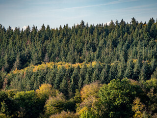 Poster - Mischwald im Herbst