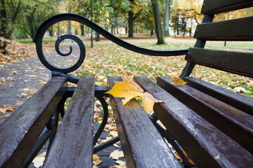 Canvas Print - yellow leaves lie on bench in city park