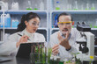 © Irin - Two asian scientists are looking and recording at substance in laboratory. Concept of Eco beauty serum, organic cosmatic and skin care product, environment bio study plants laboratory.