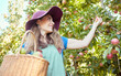 © J Maas/peopleimages.com - Apple harvest, fruit farm and happy woman with agriculture food, produce and healthy farming. Sustainability, nutrition and green lifestyle of a person on a summer day enjoying organic fruits outdoor