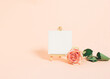 © Andjela - Bright rose flower next to blank painting canvas on peach background with copy space. Minimal art decorated with blossom rose layout. Creative aesthetic vibe for creating new idea.