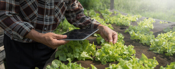 Farmer checking quality by tablet agriculture modern technology. Concept using modern technologies in agriculture. Man agronomist farmer with digital tablet computer.