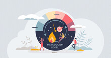 Metabolism Level Measurement Scale With Speed Of Body Burning Calories Tiny Person Concept. Medical Indicator For Health Control And Digestion Circulation Vector Illustration. Food Consumption Speed.
