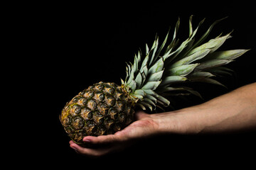 Poster - A man's hand holds a pineapple on a black background. Tropical Fruit