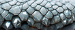 © Black Label Graphics - Close up of metallic crystalline dragon scales background
