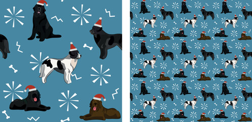 Wall Mural - Seamless Newfoundland dog pattern, holiday texture. Square format, t-shirt, poster, packaging, textile, socks, textile, fabric, decoration, wrapping paper. Trendy hand-drawn newfie dog wallpaper.