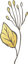 Magnolia Gold Flower Line Vector Logo Elegant Wedding Delicate Wildflower Floral Nature Wildflower 