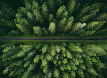 Wide Angle Aerial Photo By Drone (top View) Of Amazing Green Pine Forest With Curved Road (way). Colorful And Saturated Image Of Path In Nature From Above.