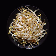 Fresh soy bean sprouts on a black plate