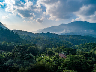 Wall Mural - Aerial shot of winding winding road in green forest