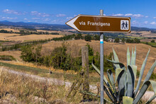 Landscape Along Via Francigena With Mud Road, Fields, Trees And Vineyard.  Sign Showing The Direction Of Monteroni D'Arbia, Route Of The Via Francigena. Siena Province, Tuscany. Italy, Europe.