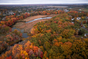 Wall Mural - Drone Autumn Foliage in Princeton Cranbury Plainsboro New Jersey