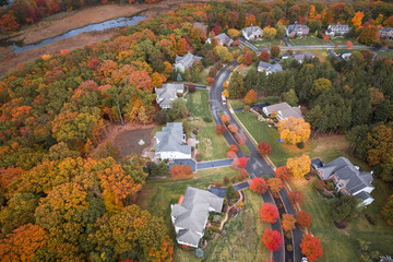 Wall Mural - Drone Autumn Foliage in Princeton Cranbury Plainsboro New Jersey