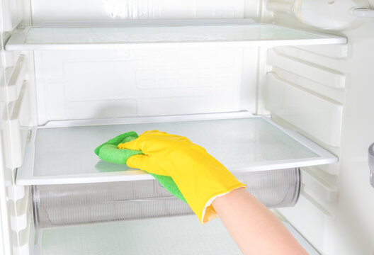 Wall Mural -  - Deep Cleaning service. House cleaning. Washing fridge. Woman hand in yellow rubber protective glove cleaning white open empty refrigerator with green rag. copy space