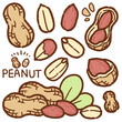 peanut cartoon drawing set