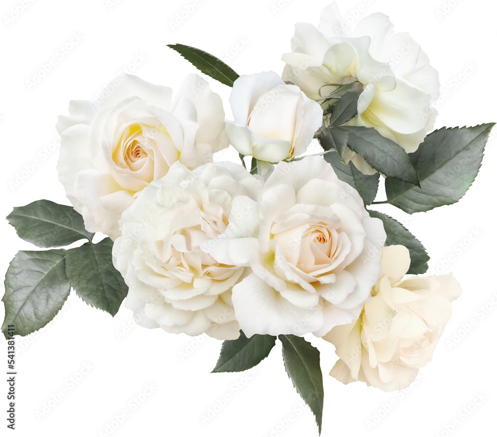 White roses isolated on a transparent background. Png file. Floral  arrangement, bouquet of garden flowers. Can be used for invitations,  greeting, wedding card. Stock Photo | Adobe Stock, image size:1000x880