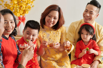 Poster - Lunar New Year Family Party