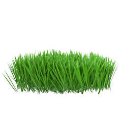 3d rendering illustration of some patches of grass