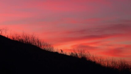 Wall Mural - Lockdown Shot Of Silhouette Of Dry Grass On Mountain Slope Against Orange Cloudy Sky - Los Angeles, California