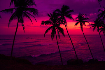 Wall Mural - Coconut palm trees silhouettes on tropical ocean beach at vivid pink colorful sunset