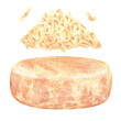 A head of cheese and a pile of grated cheese. Watercolor illustration.Isolated on a white background