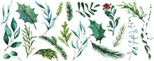 Watercolor Christmas Set Of Evergreen Twigs And Green Leaves Brunches. Green And Blue Textures. Cut Out Hand Drawn PNG Illustration On Transparent Background. Watercolour Clipart Drawing.