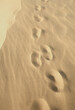 Footprints in the sand, minimalistic vertical textured sand ,art background .