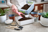 Fototapeta Kawa jest smaczna - preparation of soil substrate for planting houseplant into a pot