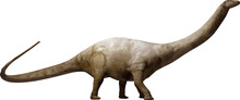Brontosaurus On Transparent Background