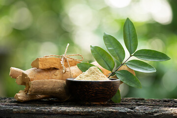 Eurycoma longifolia Jack,dried roots,green leaves and powder on nature background.