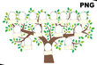 Family tree and nameplate. PNG format