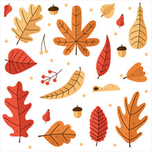 Set Of Scandinavian Colorful Autumn Leaves, Acorns And Berries. Isolated On White Background. Autumn Leaves Set Or Collection. Simple Childish Cartoon Flat Style. Vector Illustration